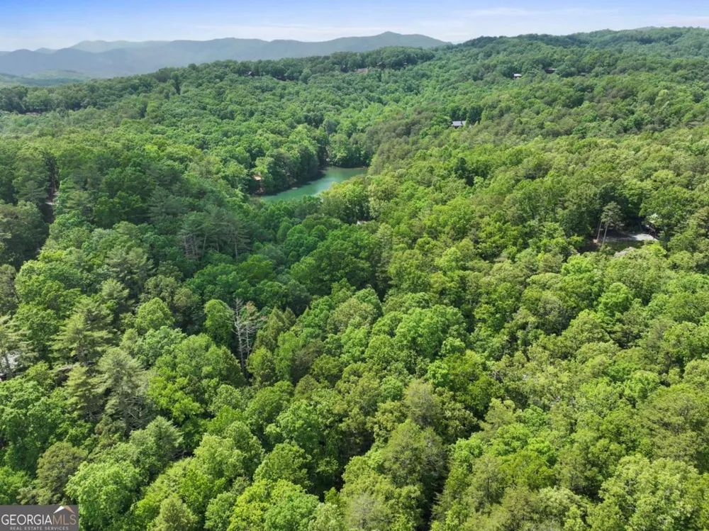 189 Cherry Lake DR Blue Ridge, GA 30513