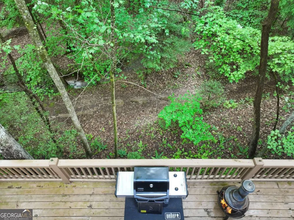 189 Cherry Lake DR Blue Ridge, GA 30513