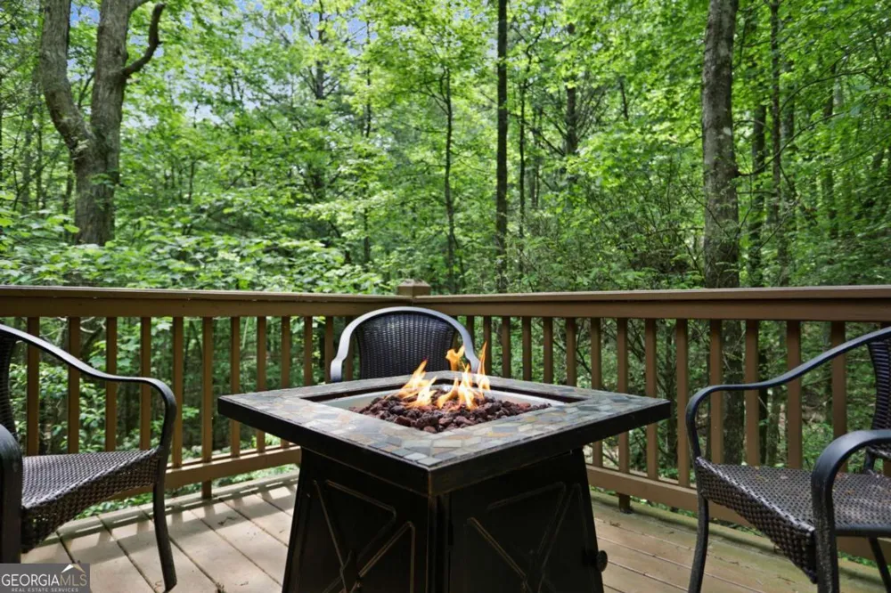 189 Cherry Lake DR Blue Ridge, GA 30513