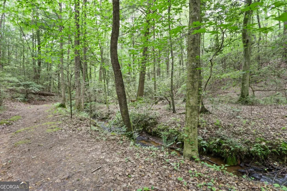 189 Cherry Lake DR Blue Ridge, GA 30513