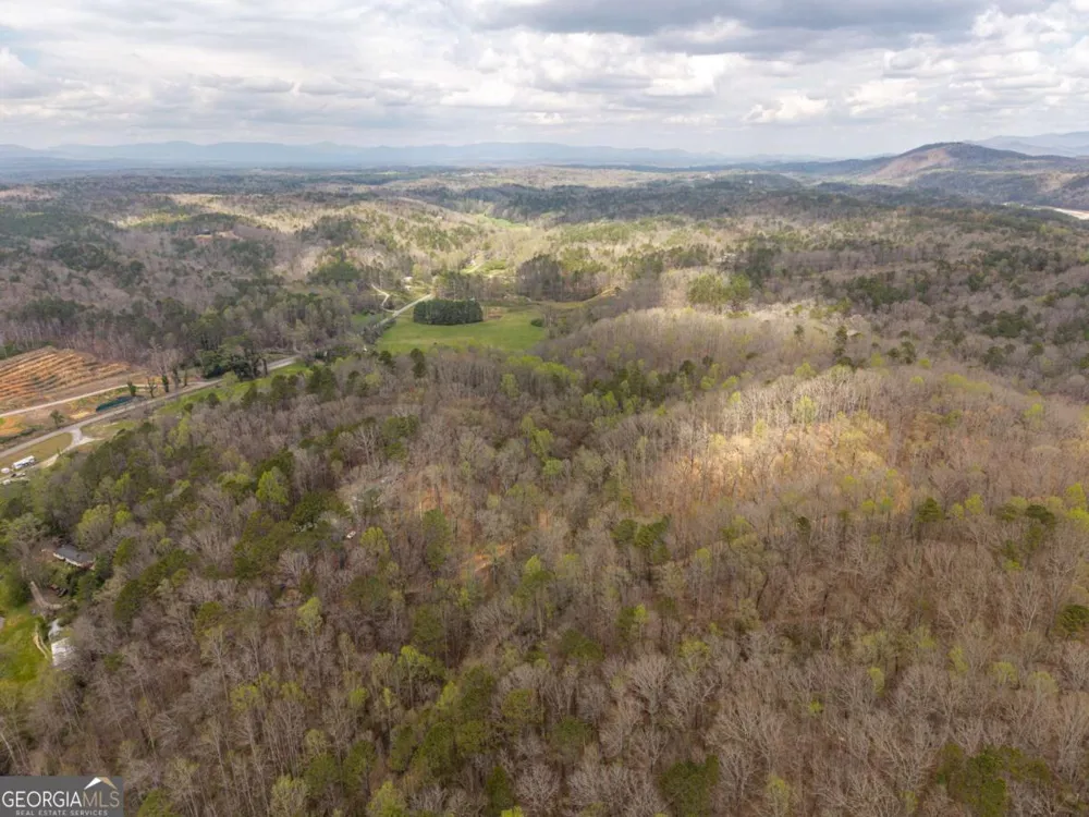 134 Nicholson LN Talking Rock, GA 30175