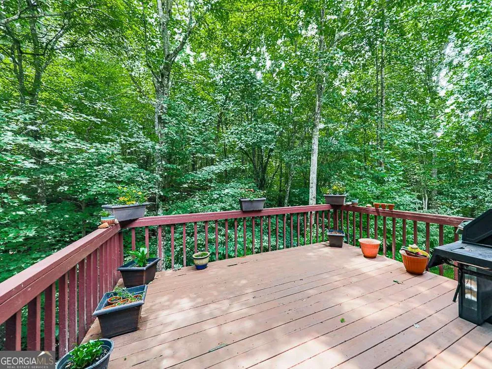 314 Spring CRK Blairsville, GA 30512