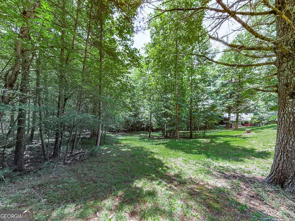 314 Spring CRK Blairsville, GA 30512