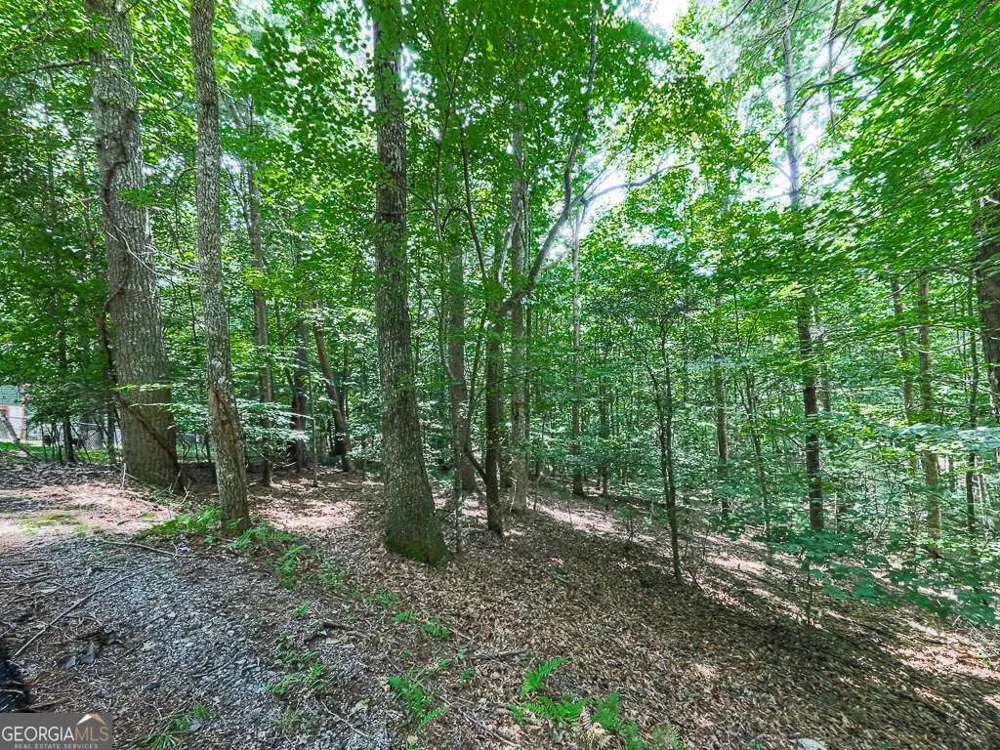 314 Spring CRK Blairsville, GA 30512