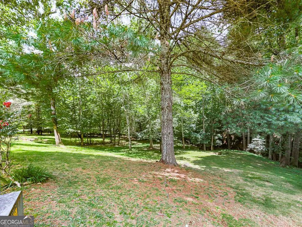 314 Spring CRK Blairsville, GA 30512