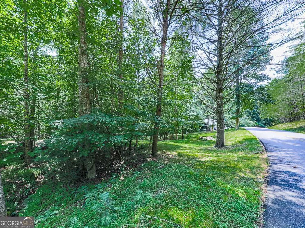 314 Spring CRK Blairsville, GA 30512