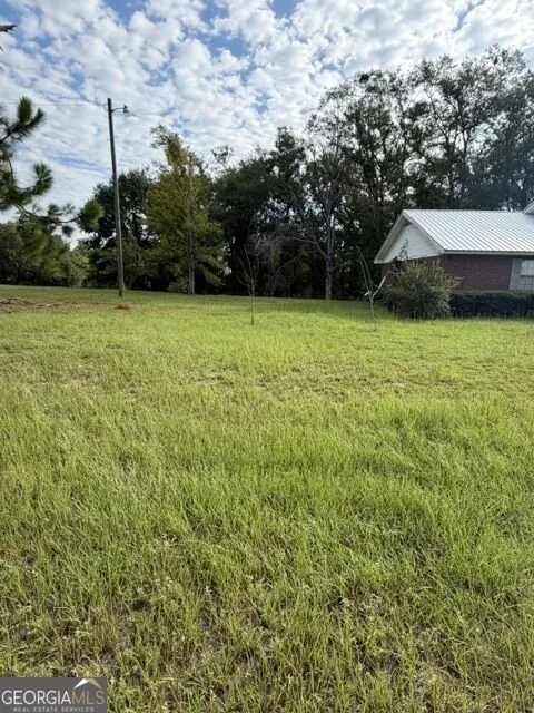 44 Hilltop DR Lumber City, GA 31549