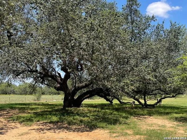 574 County Road 660 Devine, TX 78016