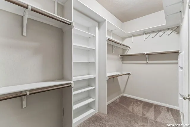 3103 BLENHEIM PARK Bulverde, TX 78163