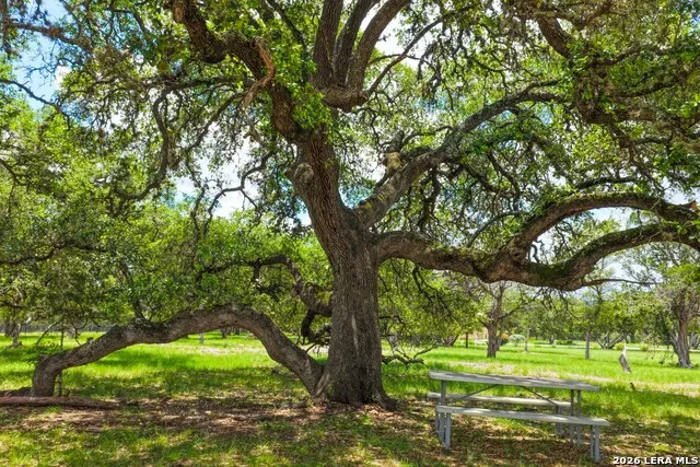 217 Wild Horse Pipe Creek, TX 78063