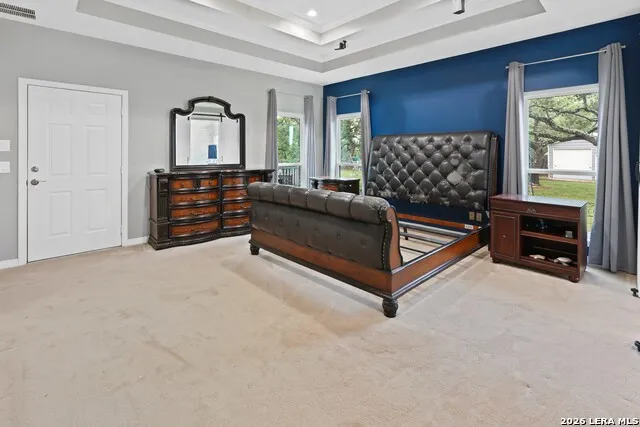 217 Wild Horse Pipe Creek, TX 78063