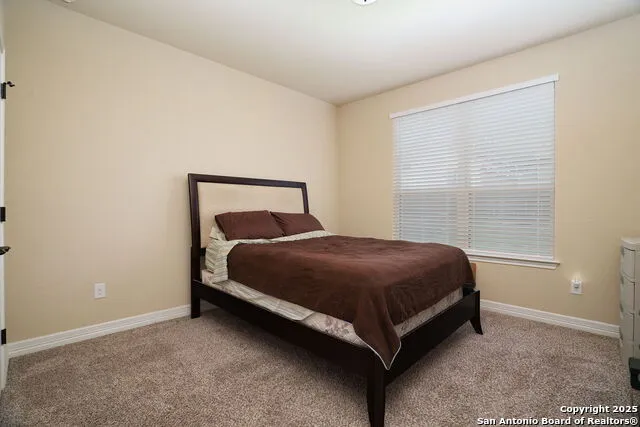 228 Comanche Trail Cibolo, TX 78108