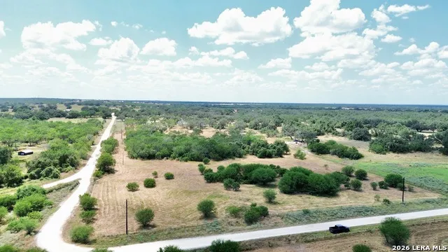 118 Pr Dax Ln Pleasanton, TX 78064