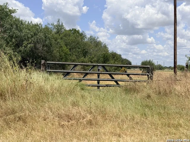 118 Pr Dax Ln Pleasanton, TX 78064
