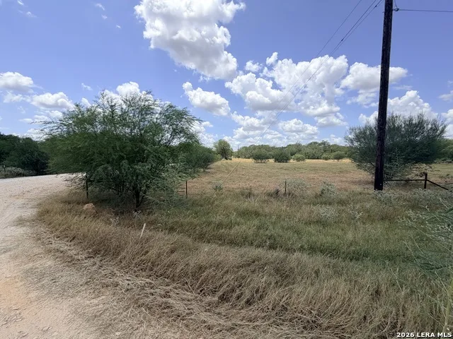 118 Pr Dax Ln Pleasanton, TX 78064