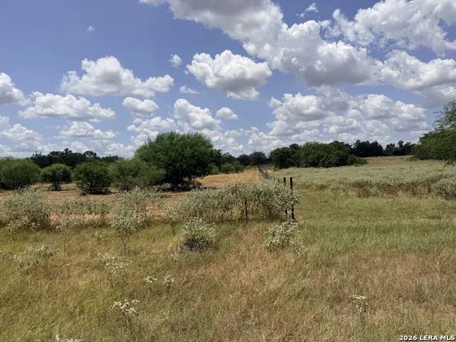 118 Pr Dax Ln Pleasanton, TX 78064