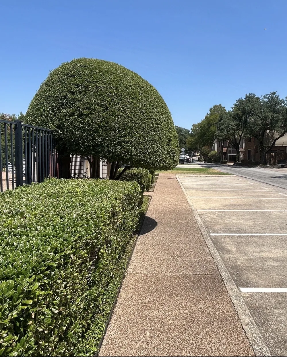 5619 Preston Oaks Road #505 Dallas, TX 75254