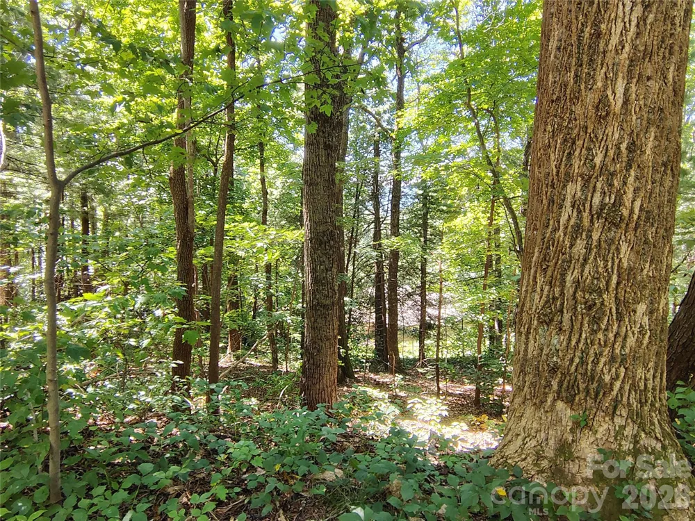 99999 Balsam Court #12B Arden, NC 28704