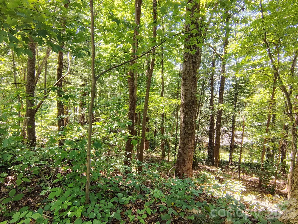 99999 Balsam Court #12B Arden, NC 28704