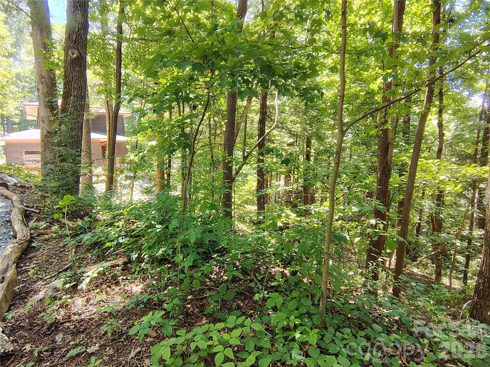 99999 Balsam Court #12B Arden, NC 28704