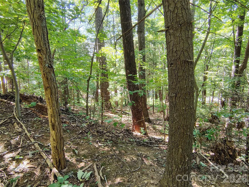 99999 Balsam Court #12B Arden, NC 28704