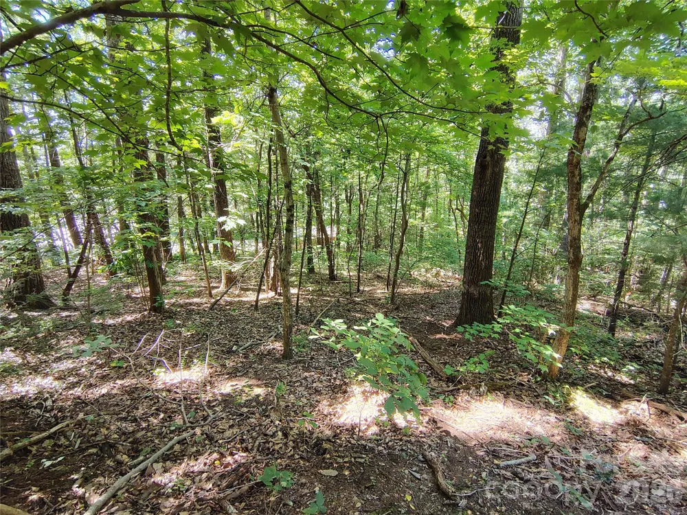 99999 Balsam Court #12B Arden, NC 28704