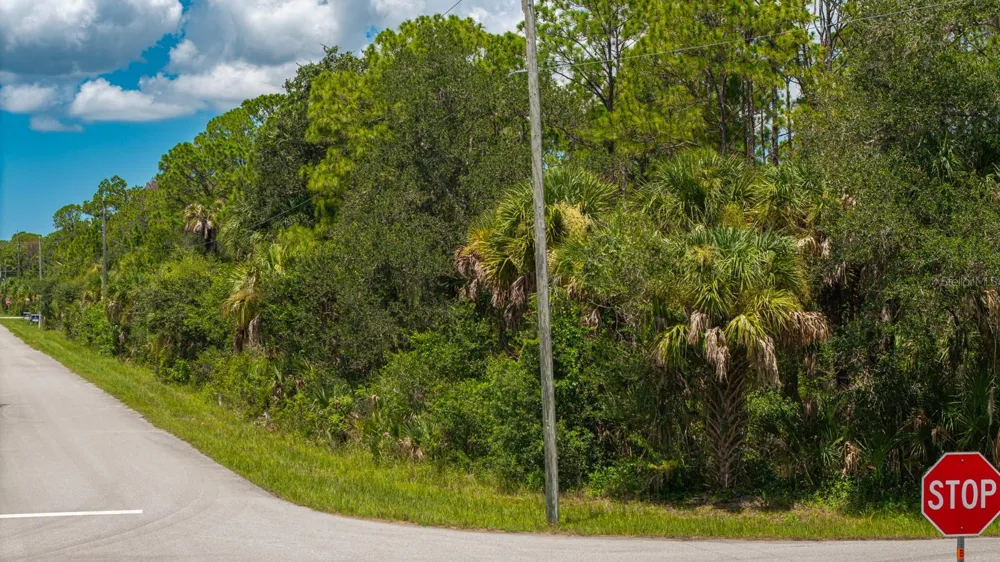 14068 CARRIE AVENUE Port Charlotte, FL 33953