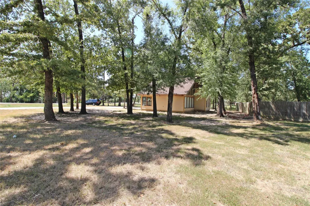 291 Buffalo Court Livingston, TX 77351