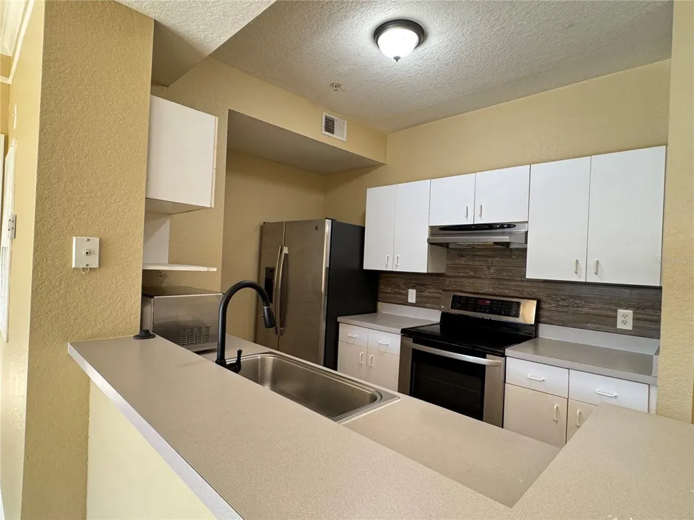 17102 CARRINGTON PARK DRIVE #320 Tampa, FL 33647