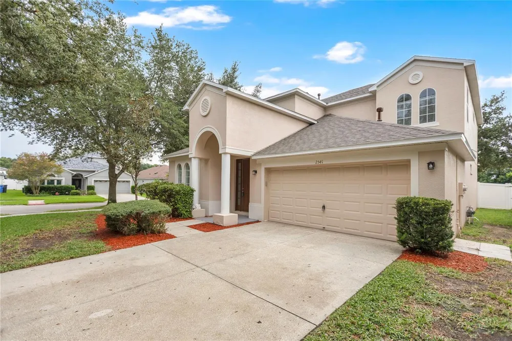 2541 PEEKSKILL ROAD Valrico, FL 33594
