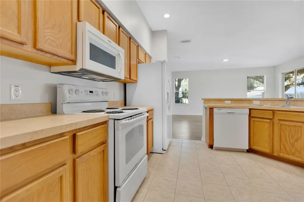2541 PEEKSKILL ROAD Valrico, FL 33594