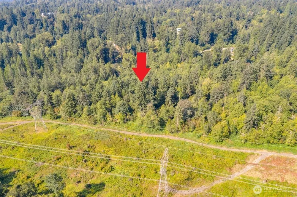 19721 312th Avenue NE Duvall, WA 98019