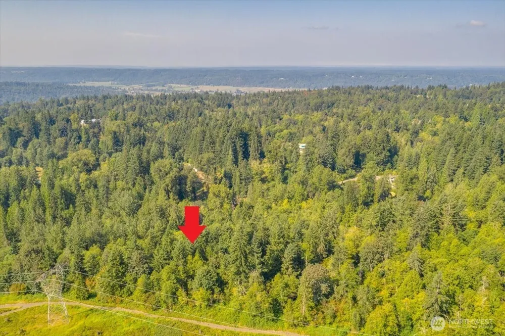 19721 312th Avenue NE Duvall, WA 98019