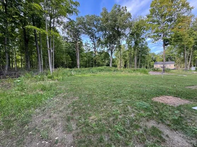 11 Alexandra Matthews Road #A Wallkill, NY 12589