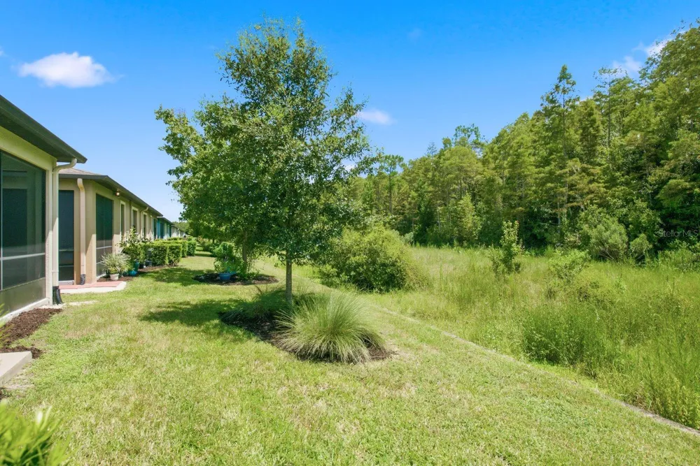 16936 BALANCE COVE Land O Lakes, FL 34638