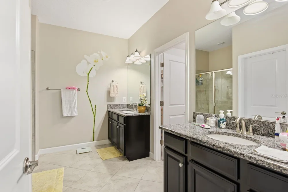 16936 BALANCE COVE Land O Lakes, FL 34638
