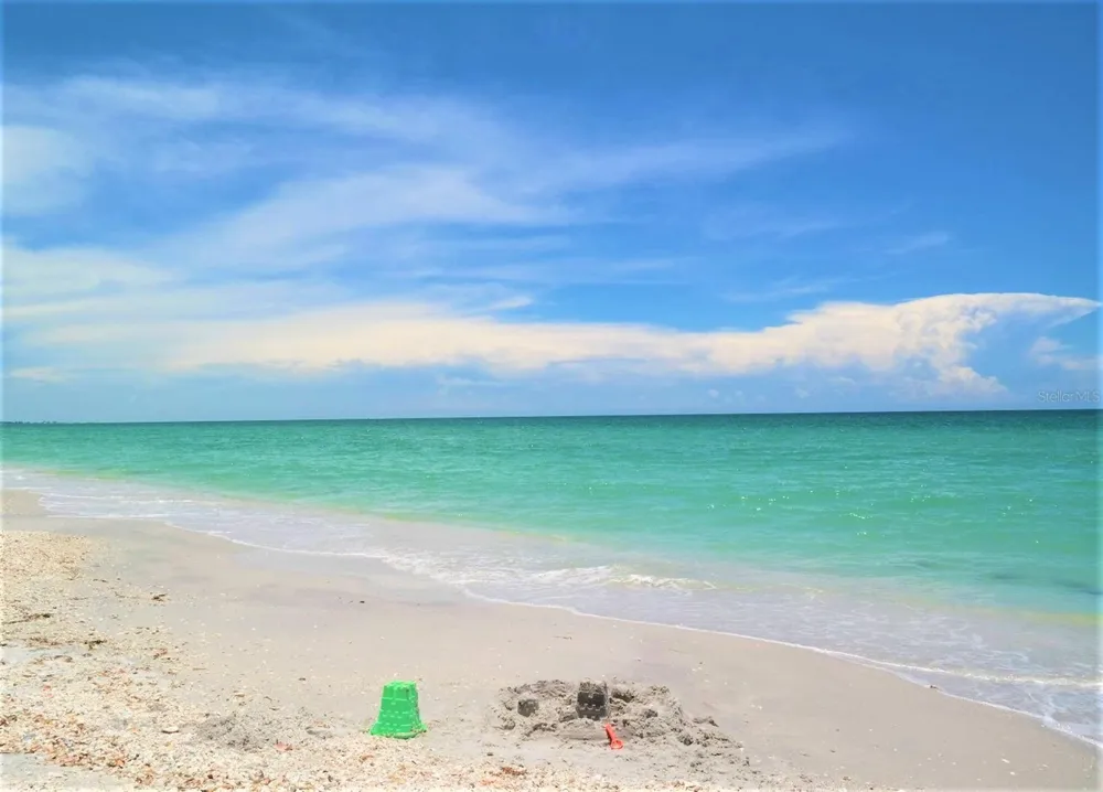 8146 LITTLE GASPARILLA ISLAND Placida, FL 33946