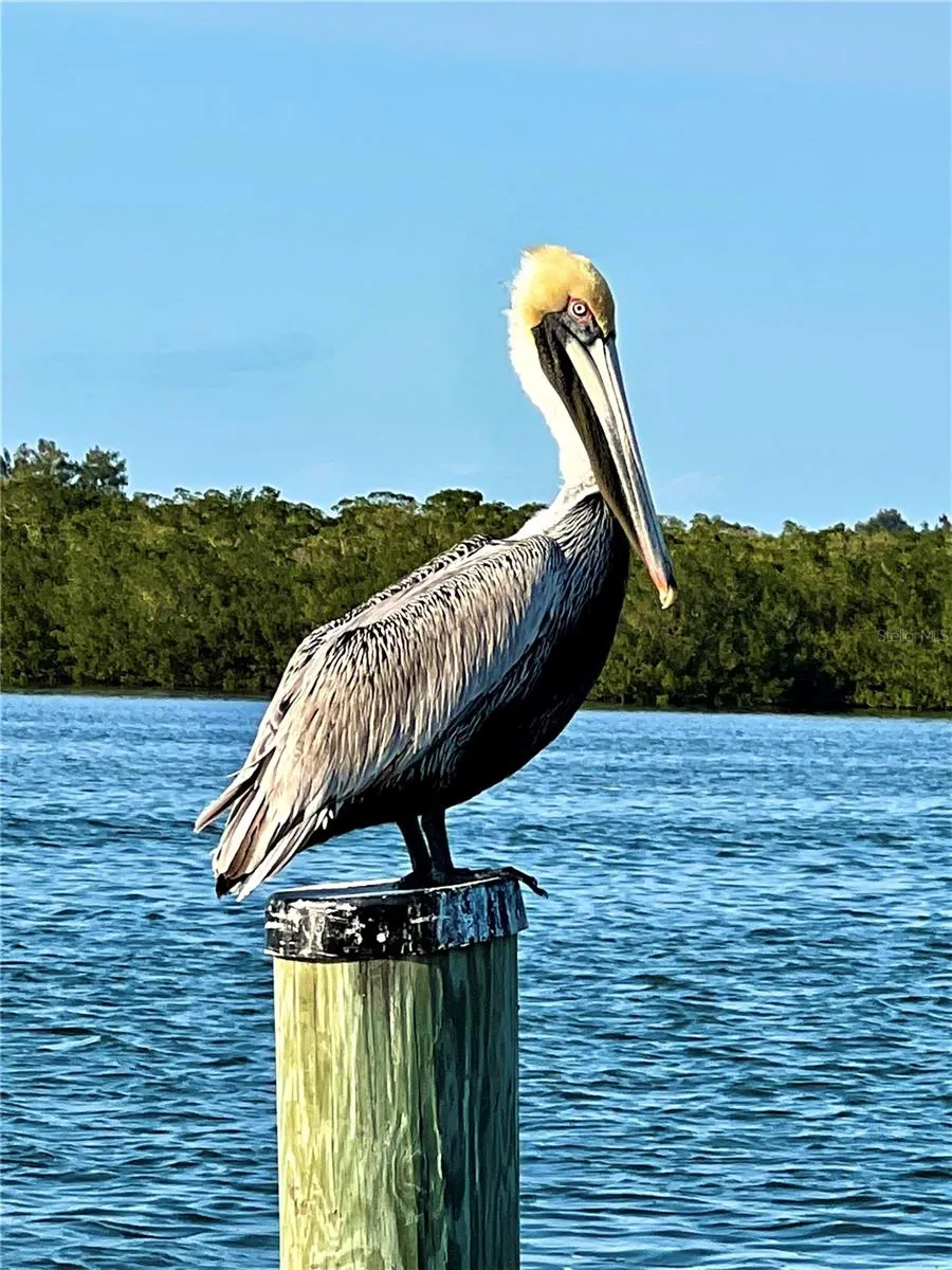8142 LITTLE GASPARILLA ISLAND Placida, FL 33946