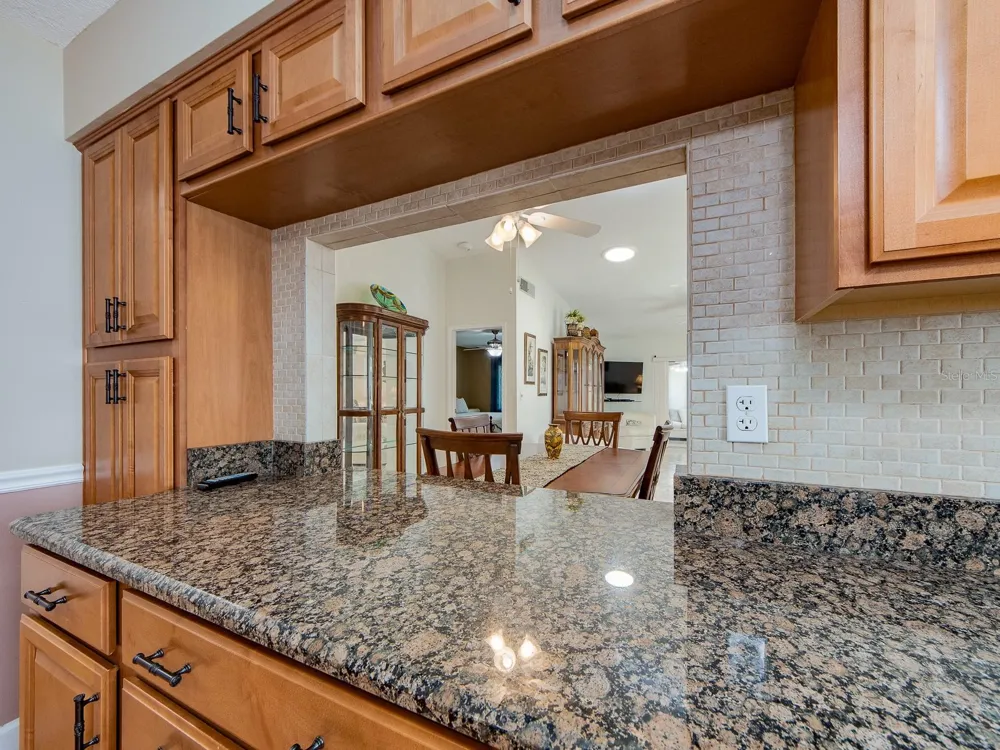 3253 MCMATH DRIVE Palm Harbor, FL 34684