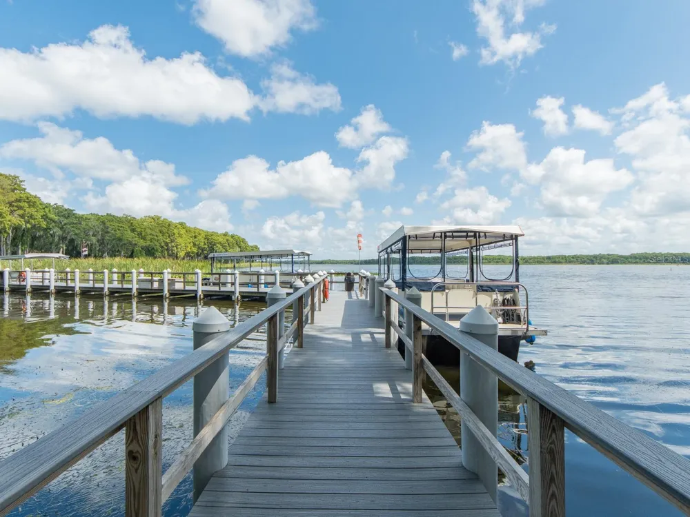 3253 MCMATH DRIVE Palm Harbor, FL 34684