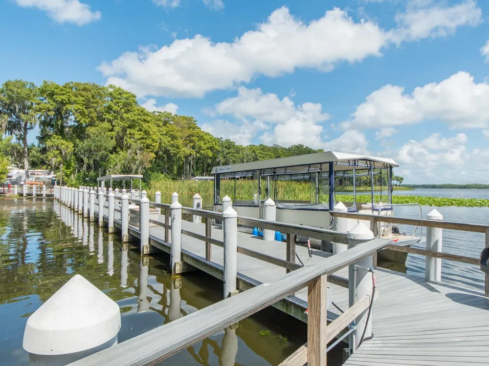 3253 MCMATH DRIVE Palm Harbor, FL 34684