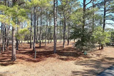 43 Kings Trail