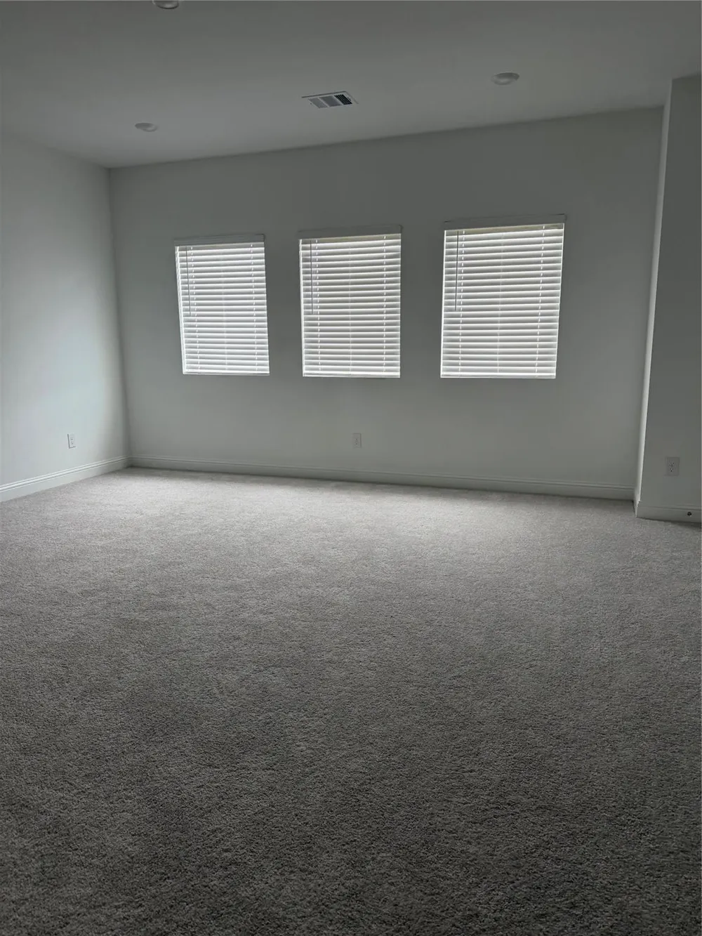 31303 Granary Hollow Drive Fulshear, TX 77441