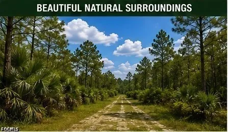 Farabee Road Punta Gorda, FL 33982