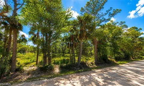 Farabee Road