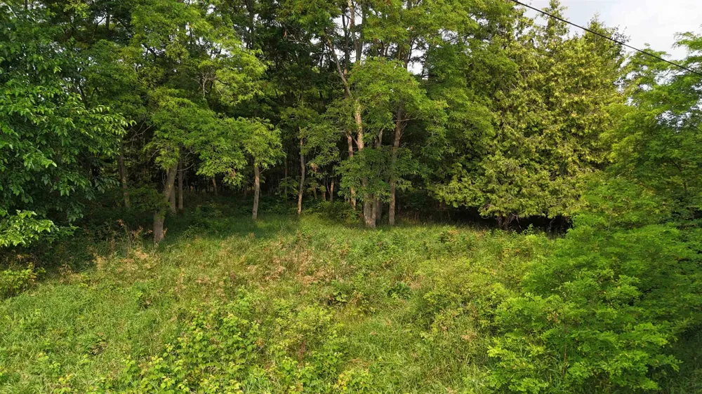 7801 S West Bay Shore Drive Leelanau Township, MI 49670