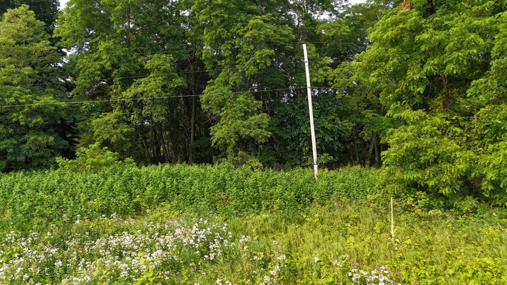 7801 S West Bay Shore Drive Leelanau Township, MI 49670
