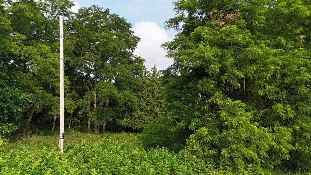 7801 S West Bay Shore Drive Leelanau Township, MI 49670