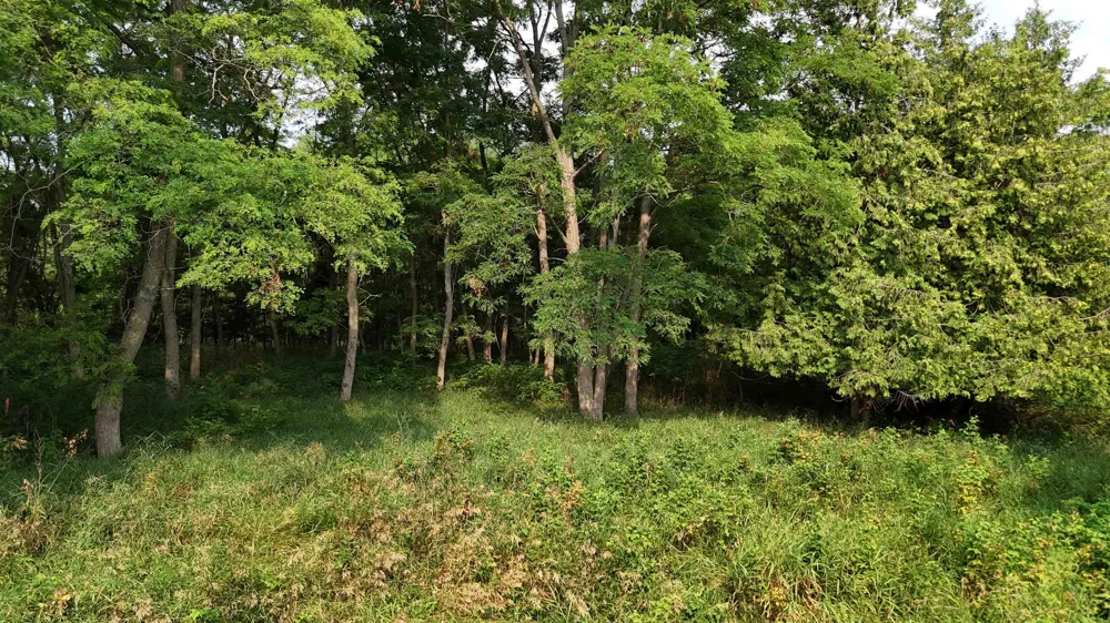 7801 S West Bay Shore Drive Leelanau Township, MI 49670