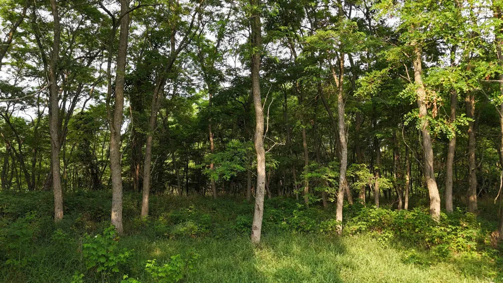 7801 S West Bay Shore Drive Leelanau Township, MI 49670